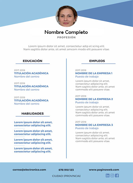 plantilla currículum consultor